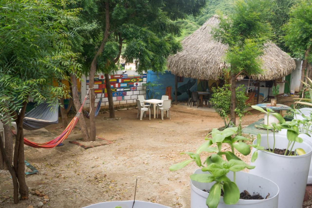 Hostel Hipilandia ตากังกา ภายนอก รูปภาพ