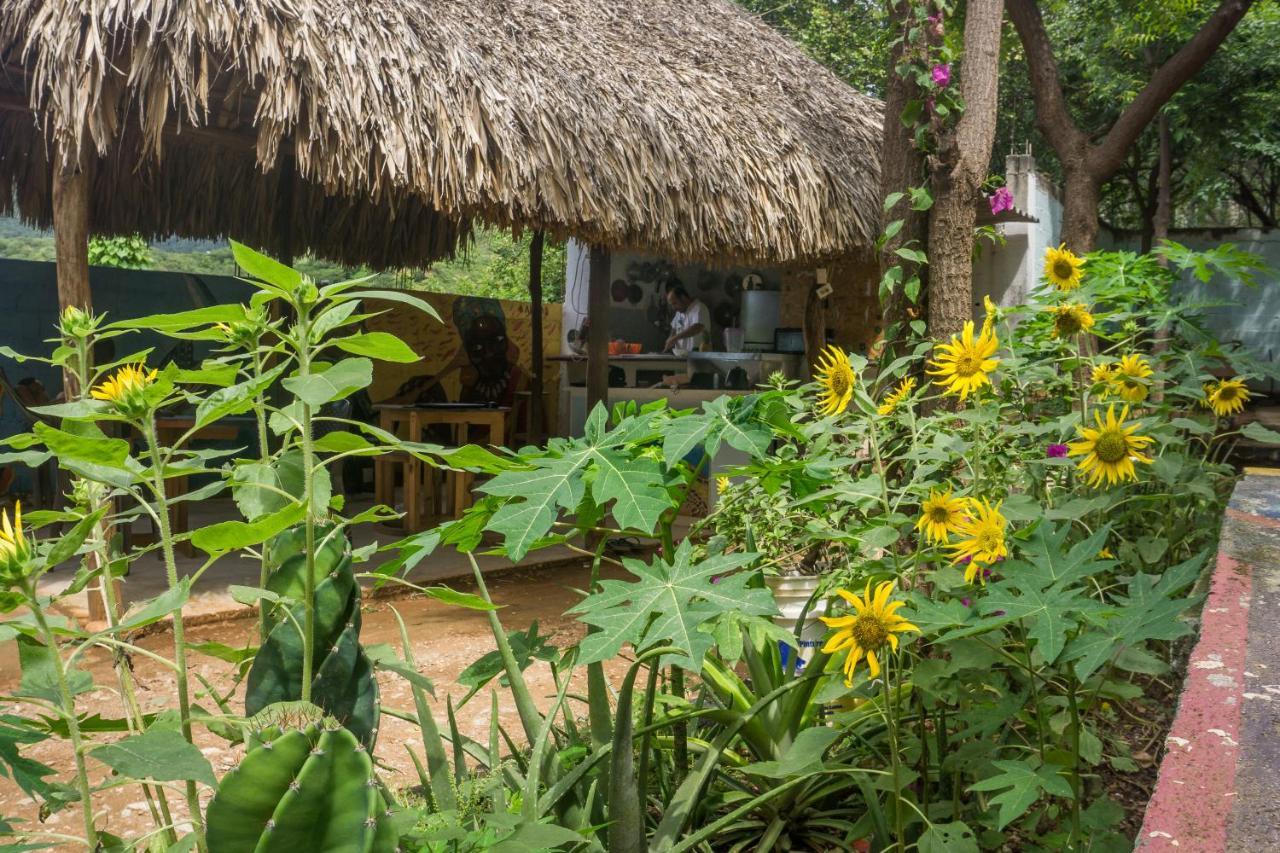 Hostel Hipilandia ตากังกา ภายนอก รูปภาพ